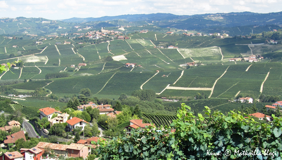 Piemonten viinirinteiden kumpuavia maisemia riittää miltei silminkantamattomiin. Kuva: © Matkoilla-blogi