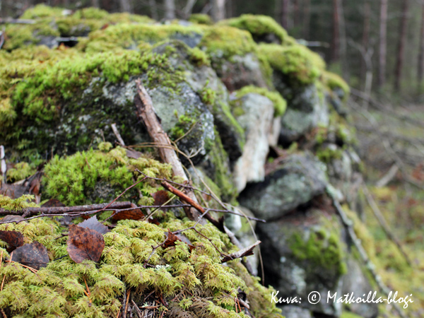 Vanha kivimuuri metsässä. Kuva: © Matkoilla-blogi