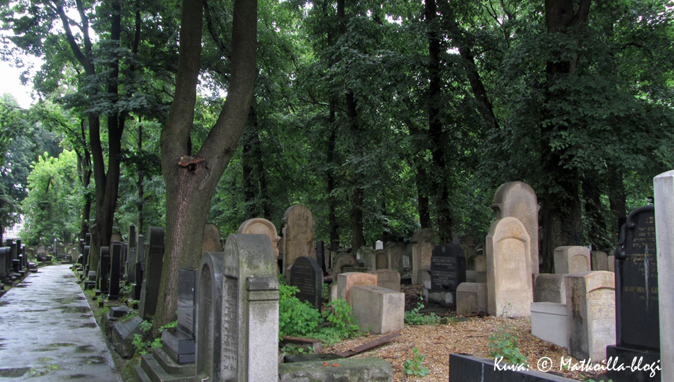 Krakovan uusi juutalainen hautausmaa. Kuva: © Matkoilla-blogi